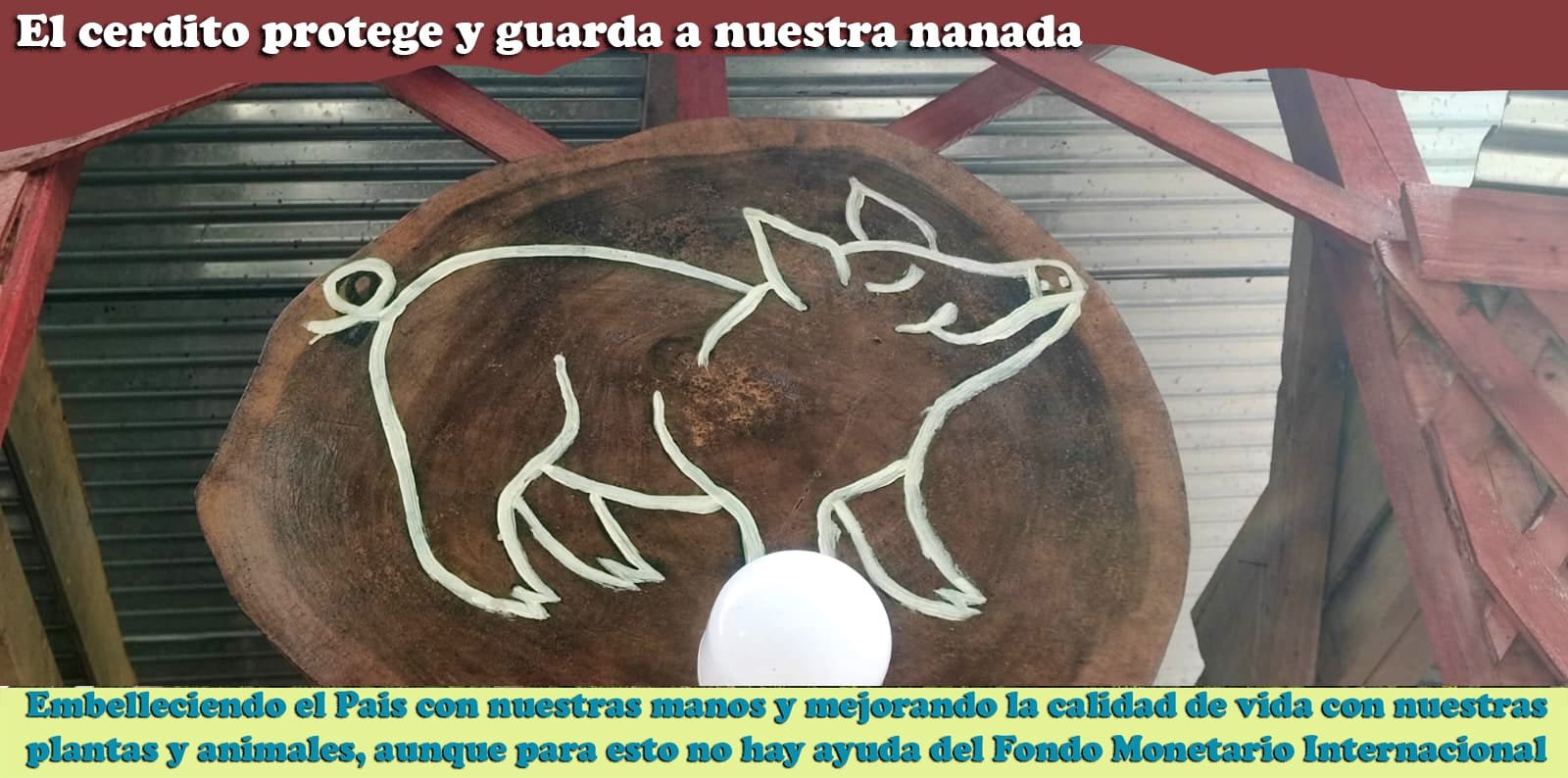 Producción de cerdos criollos en Raíces y Sueños